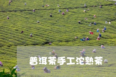 普洱茶手工沱熟茶/2023112641614