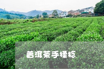 普洱茶手揉捻/2023042601557