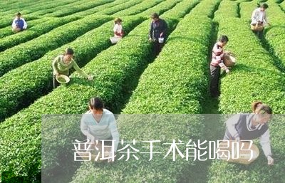 普洱茶手术能喝吗/2023081643614