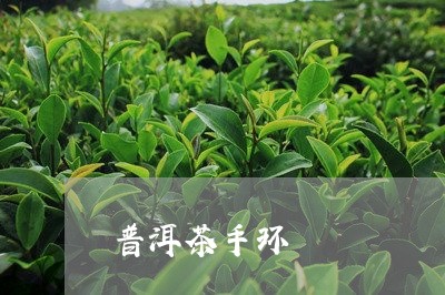 普洱茶手环/2023112569482