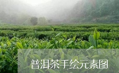 普洱茶手绘元素图/2023121750381