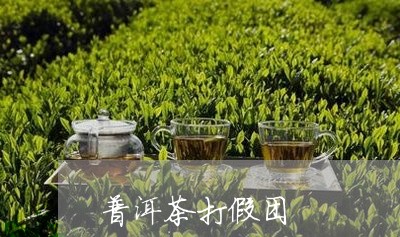 普洱茶打假团/2023081554169