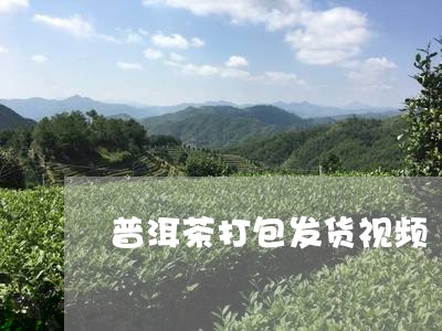 普洱茶打包发货视频/2023071038372