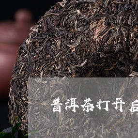 普洱茶打开后放的罐子/2023110361704