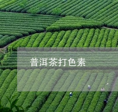 普洱茶打色素/2023042829477