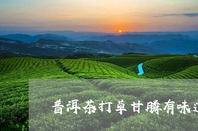 普洱茶打草甘膦有味道/2023072417360