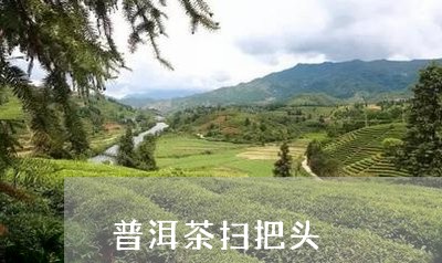 普洱茶扫把头/2023042655720