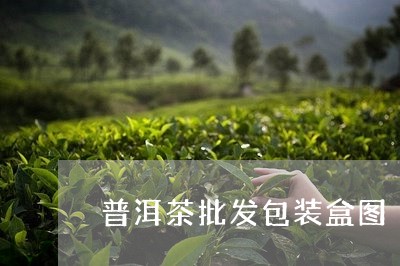 普洱茶批发包装盒图/2023070906137