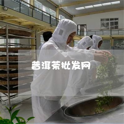 普洱茶批发网/2023042992390