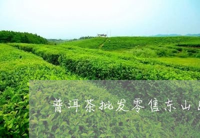 普洱茶批发零售东山岛/2023092761603