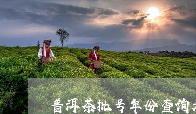 普洱茶批号年份查询表大全/2023121778481