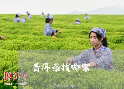 普洱茶找哪家/2023042708573