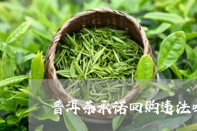 普洱茶承诺回购违法吗/2023080225157