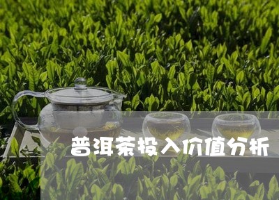 普洱茶投入价值分析/2023042853859