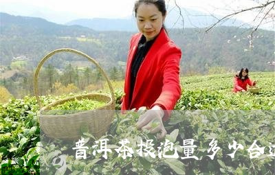 普洱茶投泡量多少合适/2023062219596