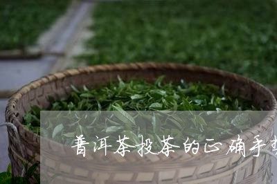 普洱茶投茶的正确手势/2023100782704