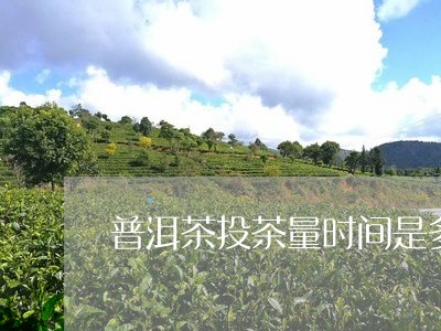 普洱茶投茶量时间是多少/2023121726078