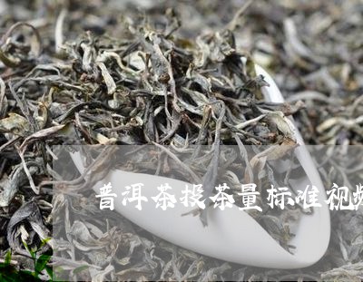 普洱茶投茶量标准视频/2023080359518