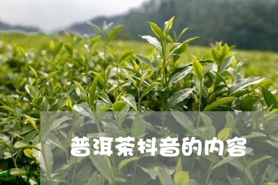 普洱茶抖音的内容/2023120430604