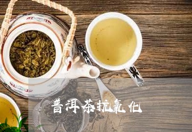 普洱茶抗氧化/2023042989559