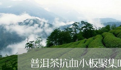 普洱茶抗血小板聚集吗/2023062381260