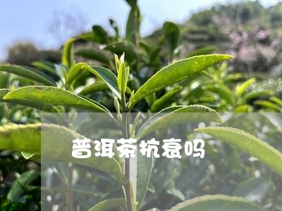 普洱茶抗衰吗/2023042974926