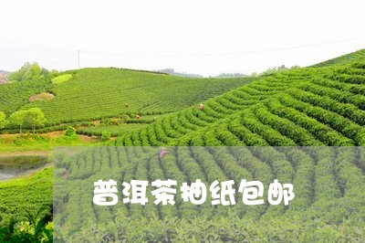 普洱茶抽纸包邮/2023121787270