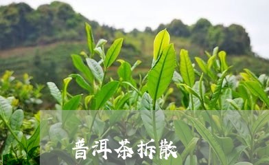 普洱茶拆散/2023090562404