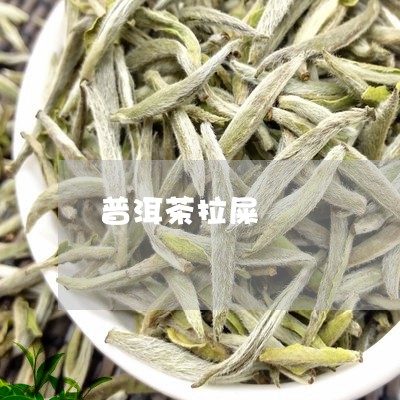 普洱茶拉屎/2023090597047