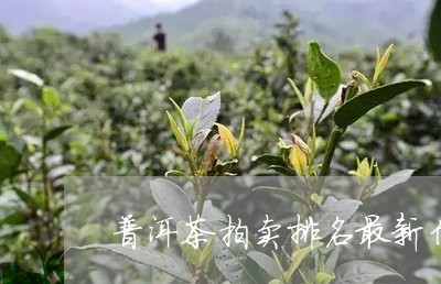 普洱茶拍卖排名最新信息/2023112862694