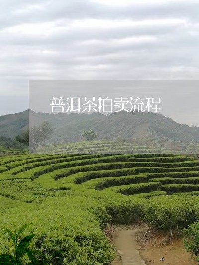 普洱茶拍卖流程/2023083031604