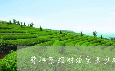 普洱茶招财进宝多少钱/2023092697059