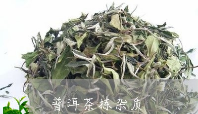 普洱茶拣杂质/2023042798198