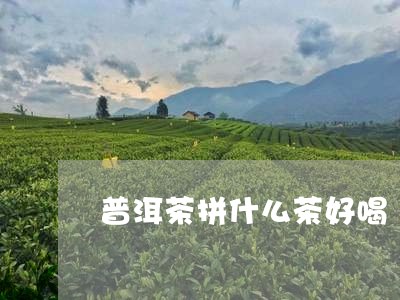 普洱茶拼什么茶好喝/2023091414828