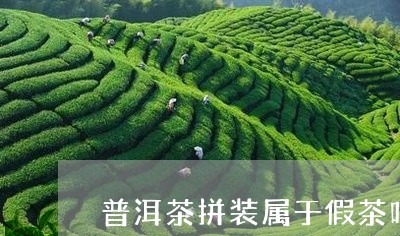 普洱茶拼装属于假茶吗/2023080372604