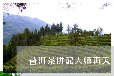 普洱茶拼配大师再天/2023093032695