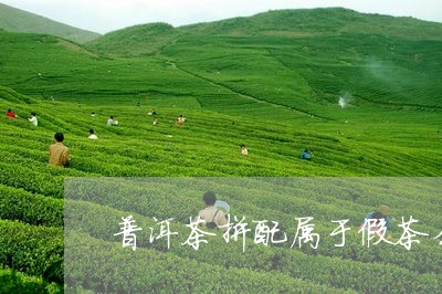 普洱茶拼配属于假茶么/2023062461371