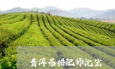 普洱茶拼配师沈宏/2023091502936