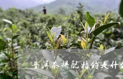 普洱茶拼配指的是什么/2023072414280