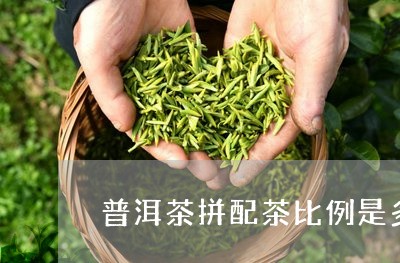 普洱茶拼配茶比例是多少/2023121787258