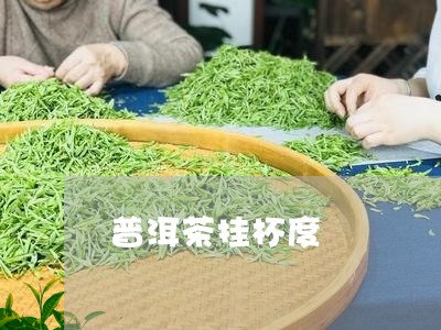 普洱茶挂杯度/2023042904151