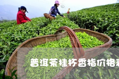 普洱茶挂杯香指价格表/2023092653149