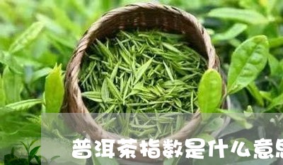 普洱茶指数是什么意思/2023062083028