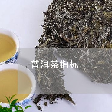 普洱茶指标/2023090662704