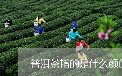 普洱茶指的是什么颜色的茶/2023082560314