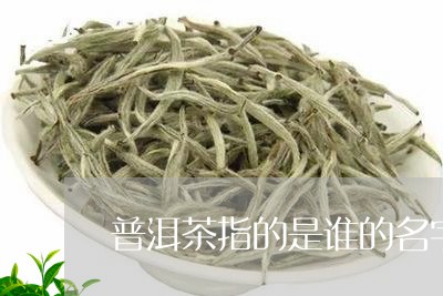 普洱茶指的是谁的名字和图片/2023082875050