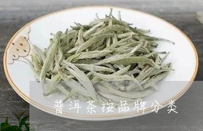 普洱茶按品牌分类/2023083049814