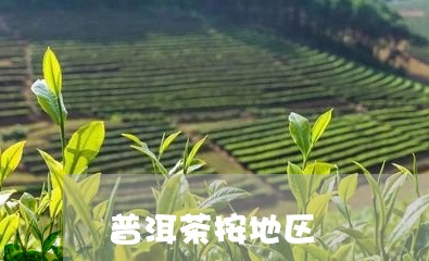 普洱茶按地区/2023042716682