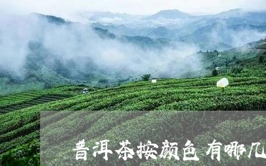 普洱茶按颜色有哪几种/2023092771583