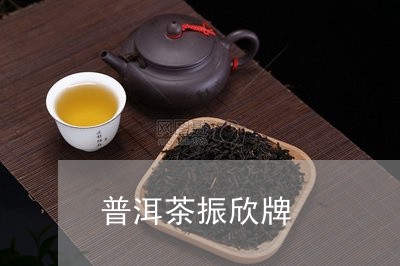 普洱茶振欣牌/2023090627261